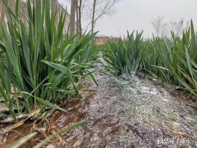 能做的5件事别忘了告诉家人不是迷信！端午三天假期最不(图4)