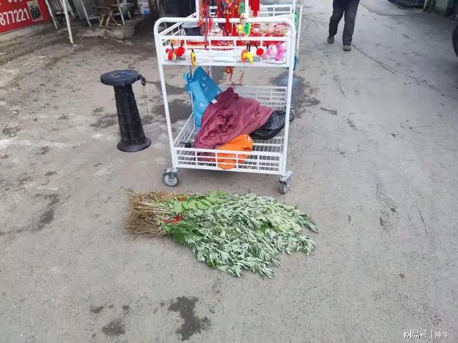 能做的5件事别忘了告诉家人不是迷信！端午三天假期最不(图3)